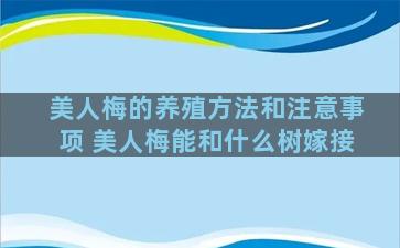 美人梅的养殖方法和注意事项 美人梅能和什么树嫁接